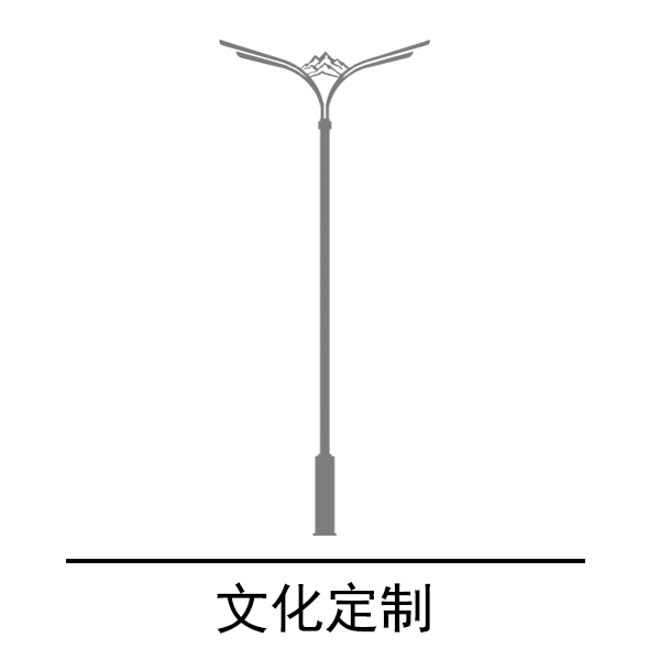文化定制